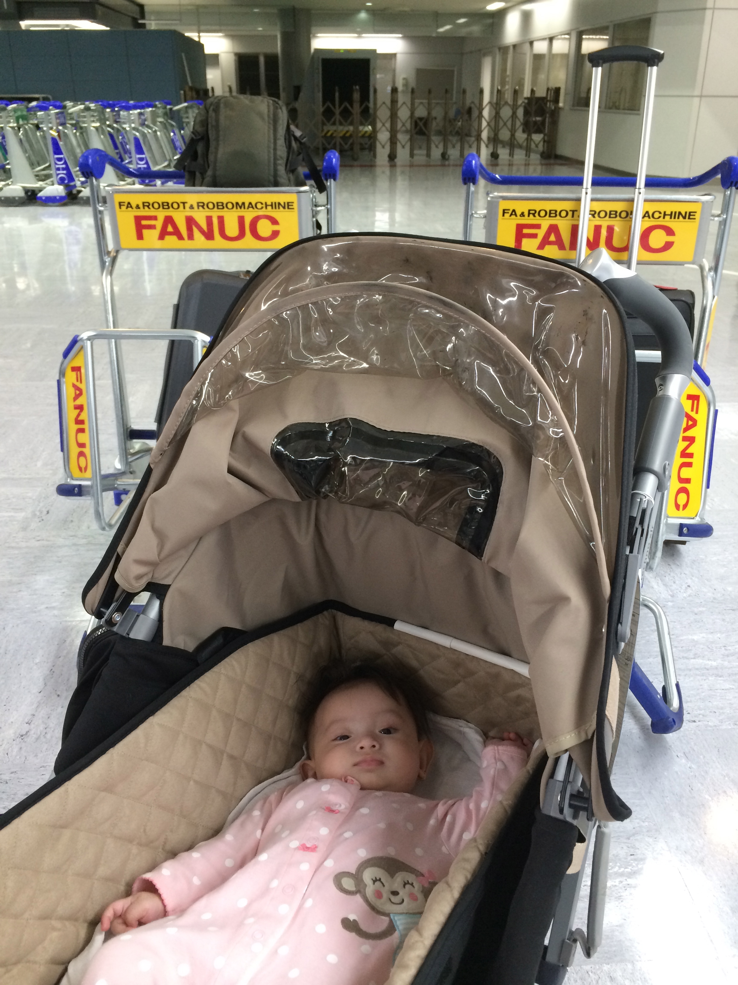 memilih stroller bayi